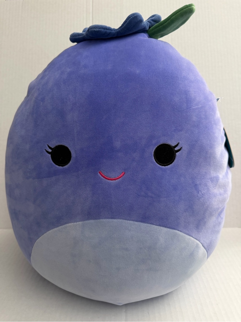 Squishmallows Bluey The Blue Berry Plush